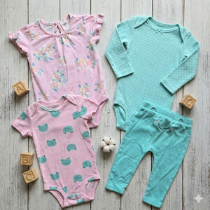 12M Baby Girl Clothing Bundle | Carter's Frog Set & OshKosh Flutter Sleeve Top